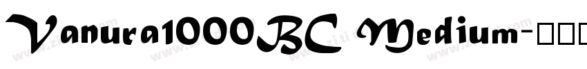 Vanura1000BC Medium字体转换
